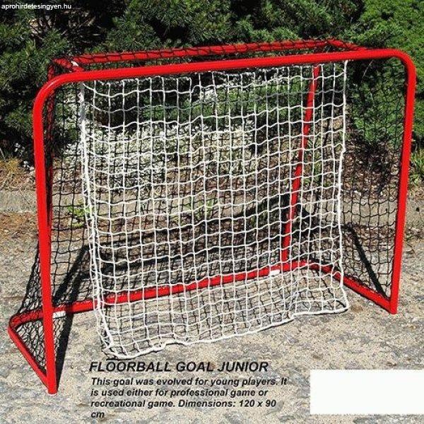 GOAL floorball 120x90 with net and curtain