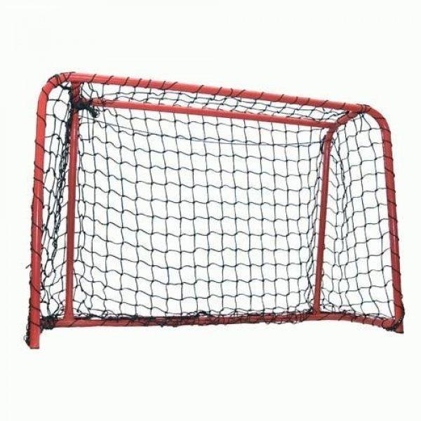 GOAL floorball 60x45 with net