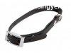 Firedog BioThane nyakrv Basic 19 mm 30-38 cm black