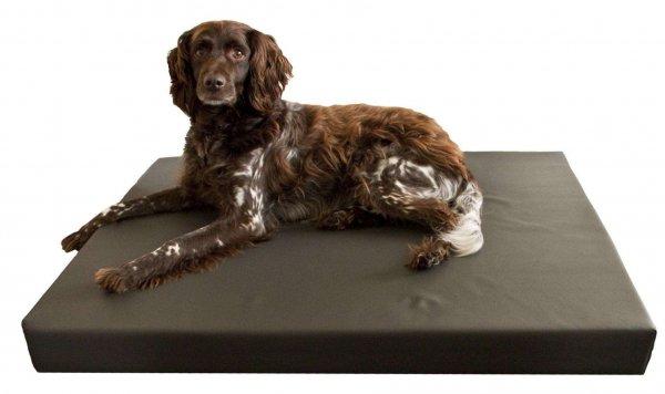 HD Dog Bed Ortopéd kutyaágy  S