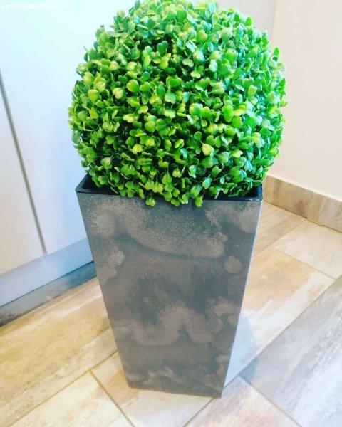 Buxus Műnövény kaspóban 65cm #zöld