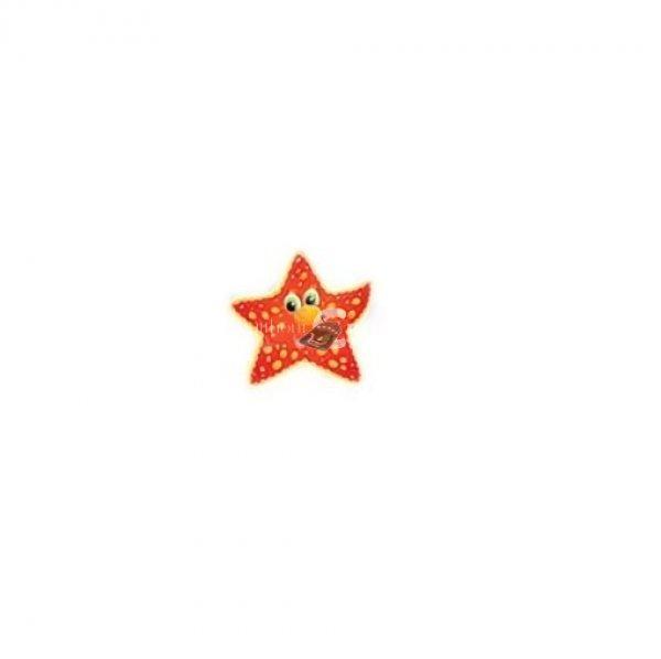 Víz alatti dekormatrica - tengeri csillag