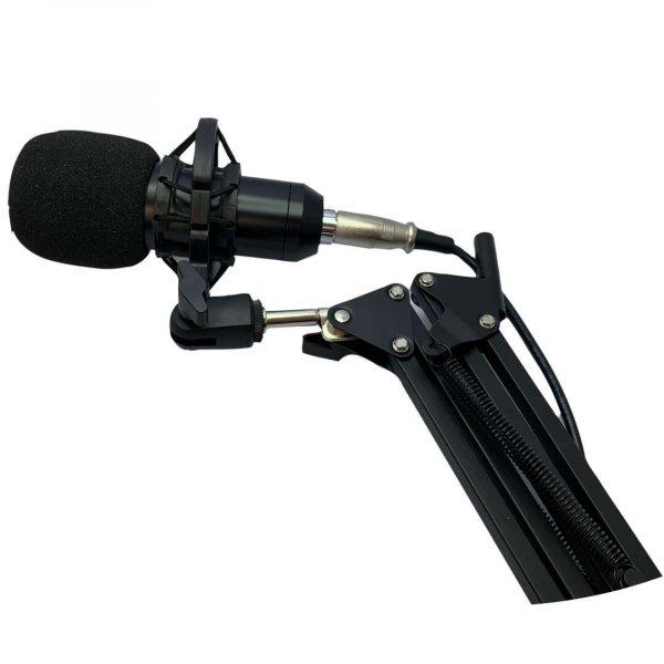 Professzionális kondenzátor mikrofon és Singing Live hangkeverő (ZMR-MK-9)