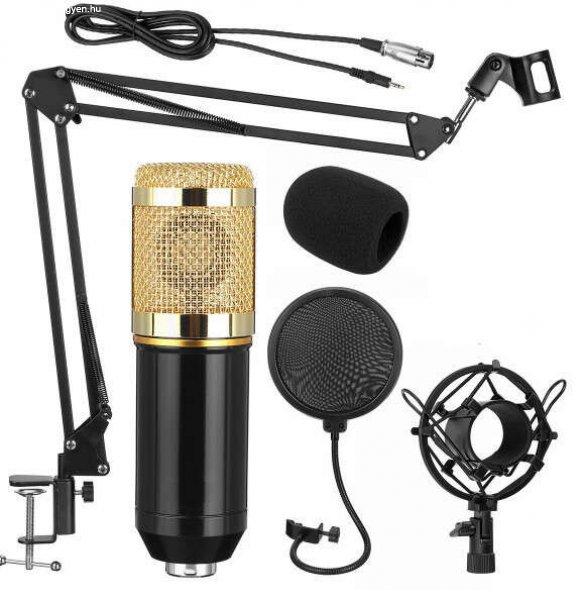 Professzionális kondenzátor stúdió mikrofon, állvánnyal és
kiegészítőkkel, arany-fekete