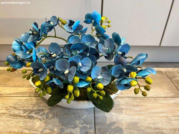 Kék színű orchidea 4 szálas, csónak kaspóban 