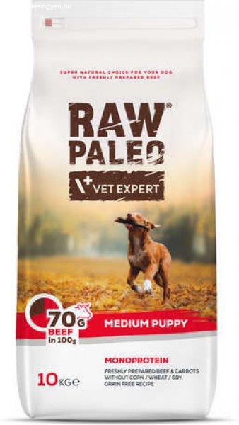 Raw Paleo Puppy Medium Monoprotein Beef 10 kg