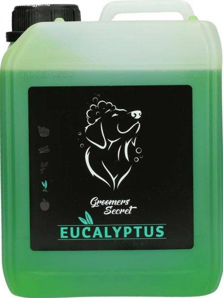 Groomers Secret Eukaliptusz illatú, erős tisztító hatású Sampon + pumpa