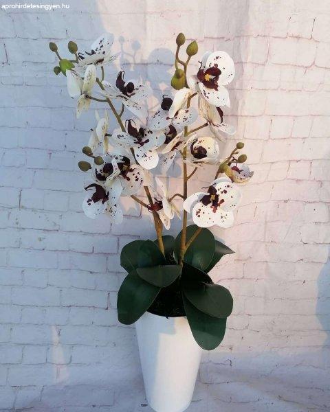 PRÉMIUM MINŐSÉGÚ ORCHIDEA  pöttyös orchideával   