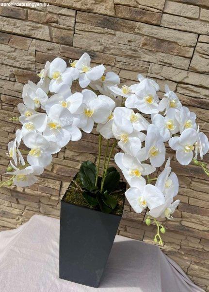 Kocka padlóvázás orchidea(beton effekt antracit/fehér) színben  kb 1
méteres kaspó betton effekt antracit