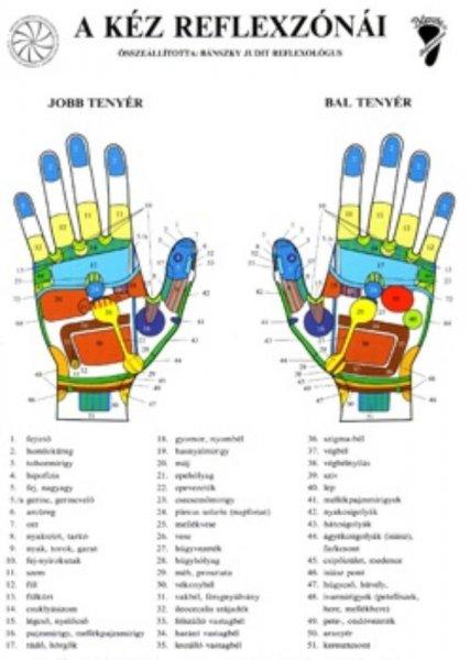 Bánszky Judit: A kéz reflexzónái - Két oldalas A4