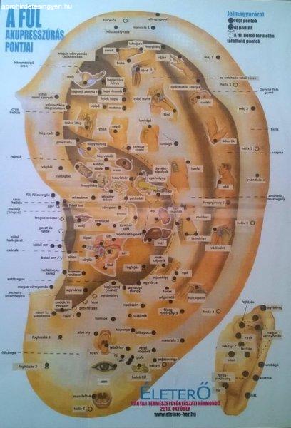 Bánszky Judit: A fül akupresszúrás pontjai - A4