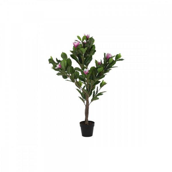 Dekor növény DKD Home Decor Rózsaszín Zöld PE (60 x 60 x 125 cm) MOST 64342
HELYETT 40718 Ft-ért!
