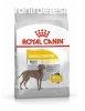 Royal Canin Maxi Dermacomfort 12 kg