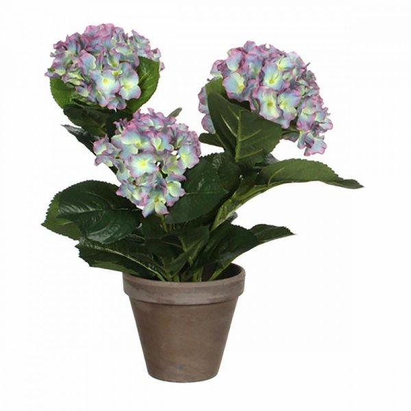 Dekor növény Mica Decorations Magnolia 35 x 40 cm MOST 23760 HELYETT 15998
Ft-ért!