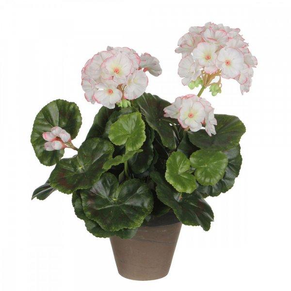 Dekor növény Mica Decorations PVC Geránium (11,5 x 33 cm) MOST 14571 HELYETT
8722 Ft-ért!