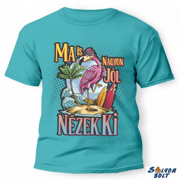 Vicces póló több színben, ma is nagyon jól nézek ki