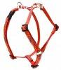 LUPINE Roman hm (Go Go Gecko 1,25 cm szles 23-35 cm)