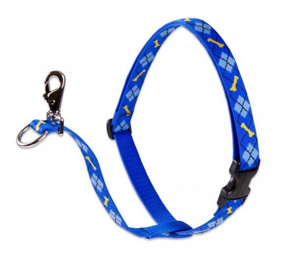 LUPINE NO PULL (Dapper Dog 2,5 cm széles 60-96 cm)