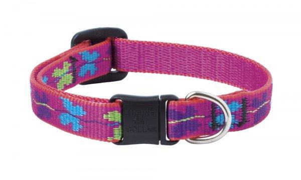 LUPINE macska nyakörv (Wing It 1,25 cm széles CAT 21-30 cm )