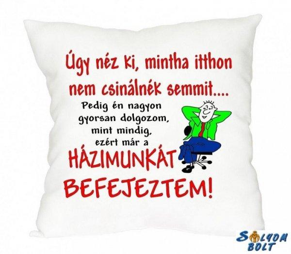 Vicces díszpárna, Úgy néz ki, mintha itthon nem csinálnék semmit