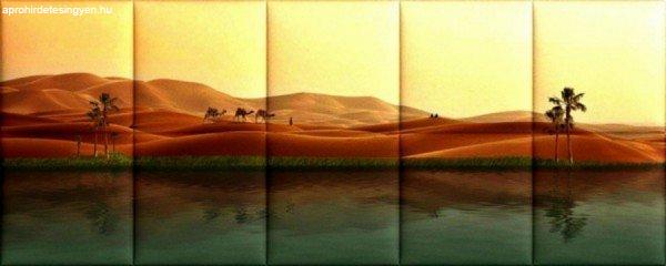 Sivatag KERMA-51 nyomtatott műbőr falikép