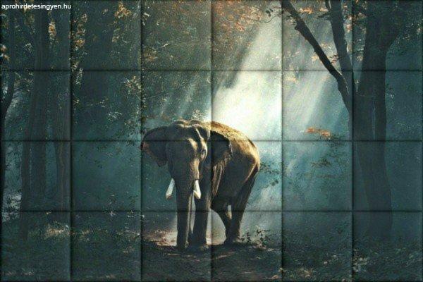 Elefánt KERMA-87 állat természet nyomtatott műbőr falikép