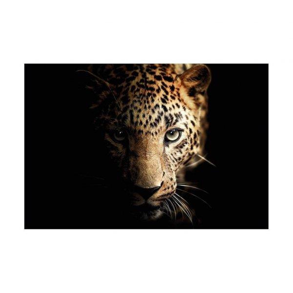 Üveg falikép, leopárd, 70x100 cm, fekete - LEOPARD - Butopêa