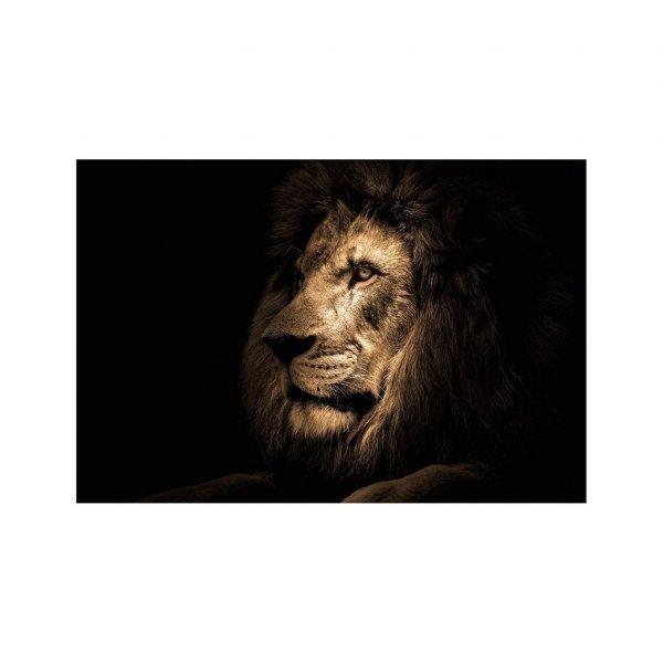 Üveg falikép, oroszlán, 70x100 cm, fekete - LION - Butopêa