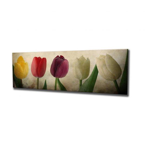 Vászon falikép, tulipánok, 80x30 cm, krémszínű - TULIPES - Butopêa