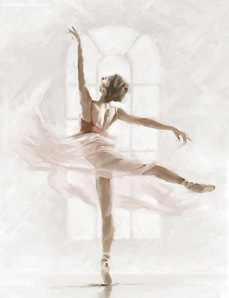Színes vászon kép 60x80 cm, ballerina - RAT - Butopêa
