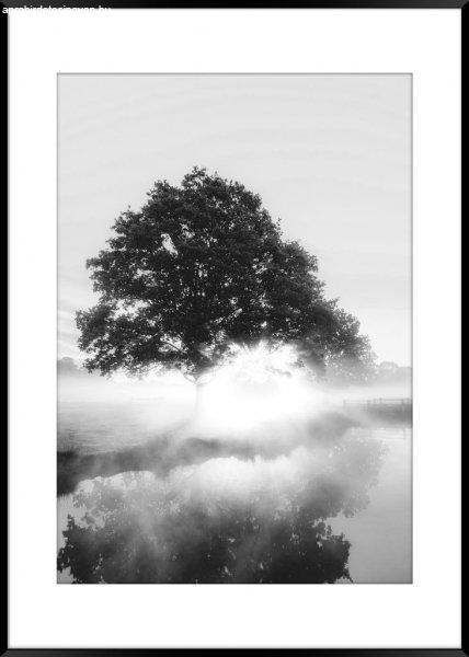Falikép 50x70 cm, fekete-fehér tájkép - FOG - Butopêa