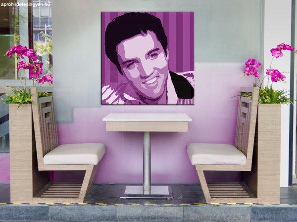 Kézzel festett vászonképek POP Art Elvis Presley  el4  (POP)