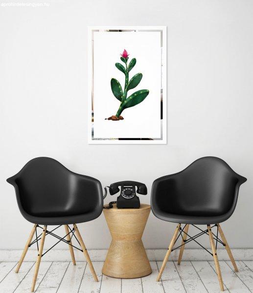 Tükor falikép Kaktus Mirrora 65 - 60x40 cm  (Képek Mirrora)
