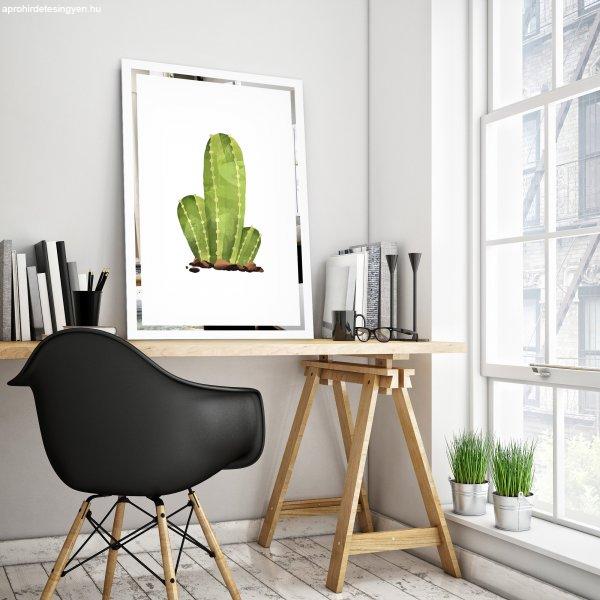 Tükor falikép Kaktusz Mirrora 68 - 60x40 cm  (Képek Mirrora)