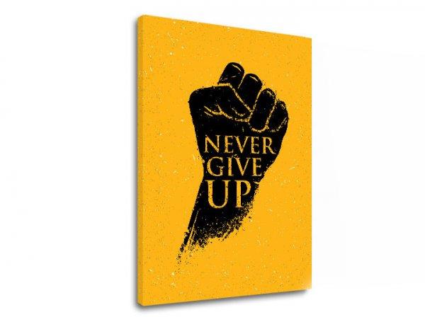Motivációs vászonképek Never give up (vászonkép szöveggel)