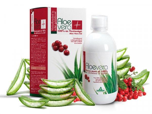 Specchiasol® Aloe Vera ital Vörösáfonyás - 8000 mg/liter acemannán
tartalommal! IASC logó a dobozon.