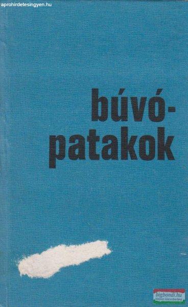 Búvópatakok