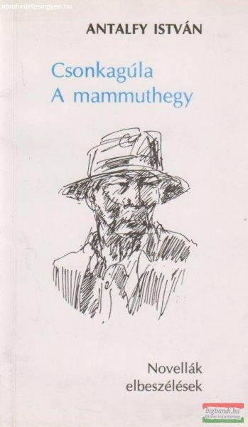Csonkagúla / A mammuthegy