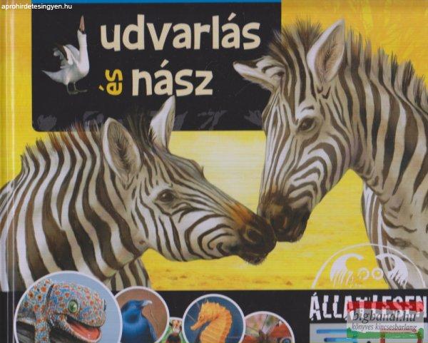 Bagoly Ilona - Udvarlás és nász