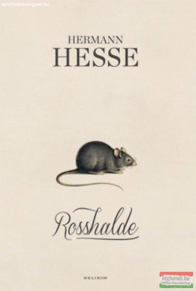 Hermann Hesse - Rosshalde