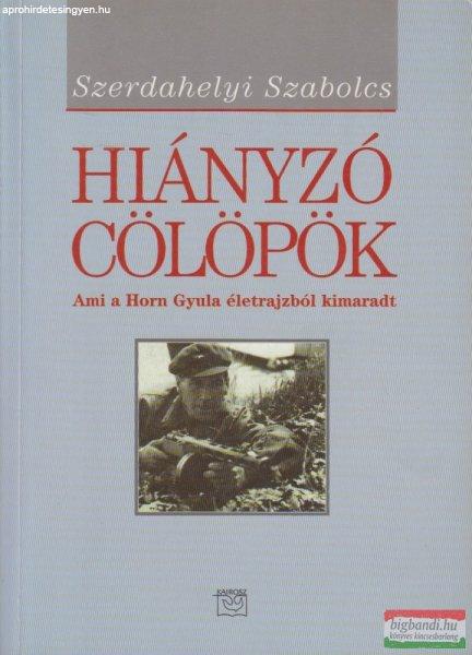 Szerdahelyi Szabolcs - Hiányzó cölöpök