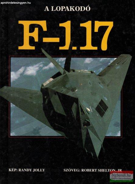 Jr. Robert Shelton - F-117