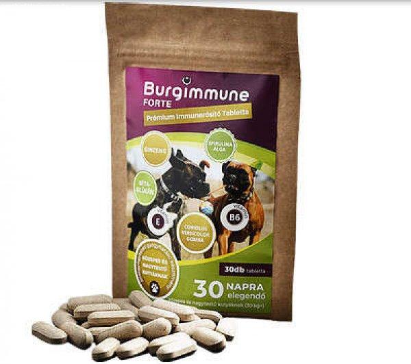 Burgimmune FORTE Prémium Immunerősítő Tabletta - 30 db-os RAKTÁRON
