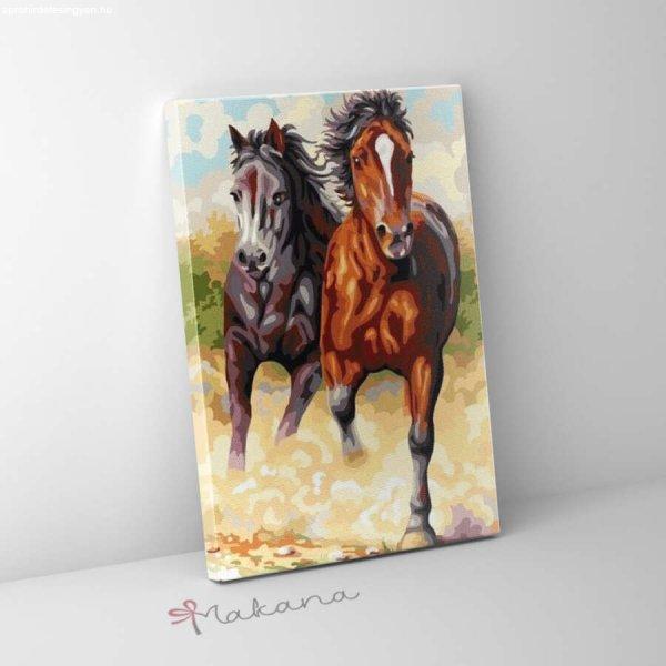 Száguldó lovak - Számfestő készlet, kerettel (40x50 cm)