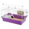 Ferplast Cavie Guinea 80 Ozone Purple - Lila Full Tengerimal