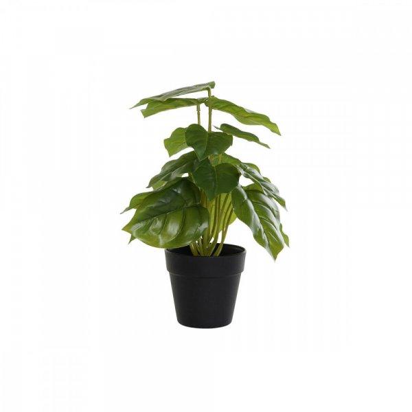 Dekor növény DKD Home Decor PVC polipropilén 20 x 20 x 30 cm MOST 9335
HELYETT 5242 Ft-ért!