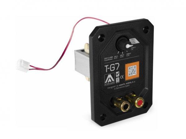 Amate Audio T-G7 modul 100V