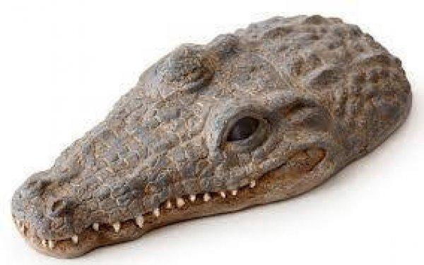 Exo-Terra Croc - lebegő teknőssziget (krokodil) vizi teknősők részére
(21x10.5x4.5cm)