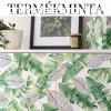 Liva zld leveles ntapads tapta termkminta 200-3268