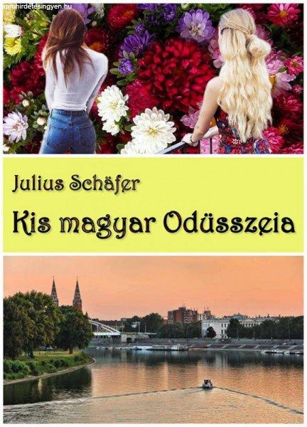 Julius Schäfer - Kis magyar Odüsszeia